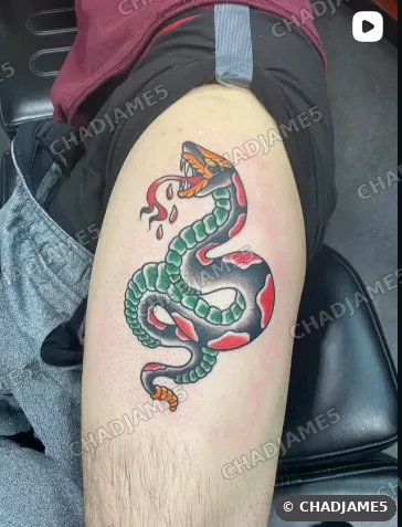 Coiled Serpent